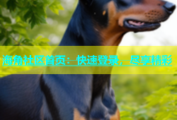 海角社区首页：快速登录，尽享精彩