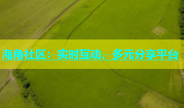 海角社区：实时互动、多元分享平台