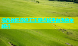 海角社区搬运工工资揭秘平台优势全解析