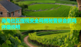 海角社区提现安全吗揭秘警察会抓吗详细说明