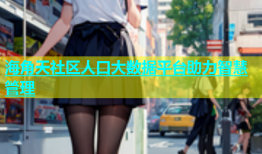 海角天社区人口大数据平台助力智慧管理
